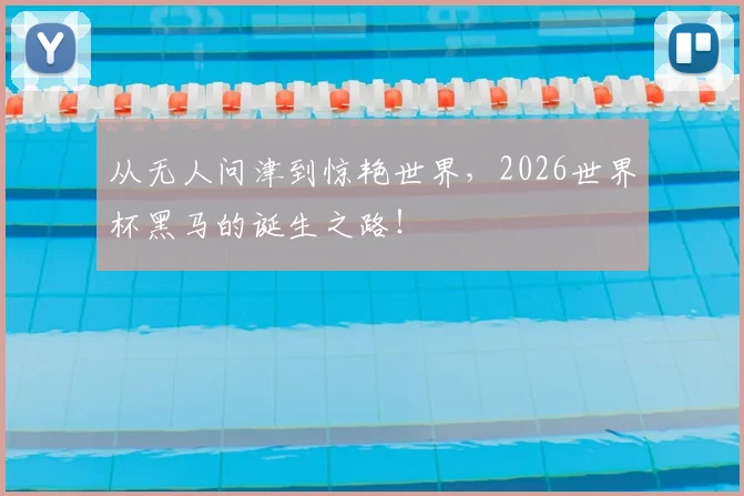 从无人问津到惊艳世界，2026世界杯黑马的诞生之路！